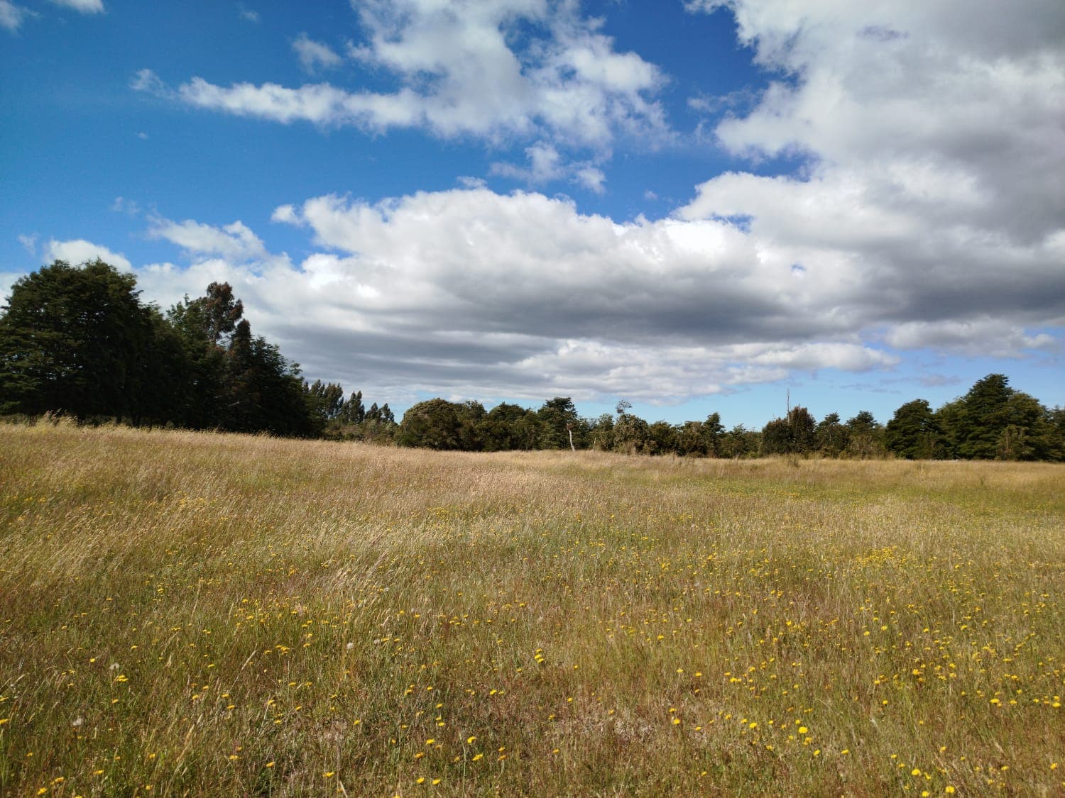 PARCELA EN VENTA MONTE VERDE