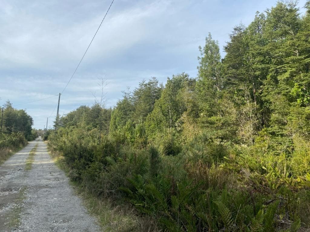 🌿 ¡OPORTUNIDAD DE INVERSIÓN EN LA CARRETERA A PARGUA! 🌿